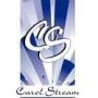CLOSED -#779.25 - Village of Carol Stream - Dixie Chopper Mower