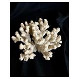 9ï¿½ Glittery white  coral