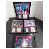 Cardinal framed pictures