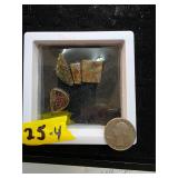 Polished Ammolite Pieces 25-4