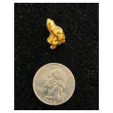 Gold Nugget 5.8 Grams   5-59