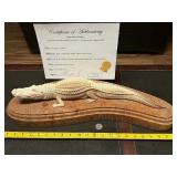 Amazing one of a kind Large Ivory Gator