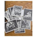 Vintage Alaskan Wildlife Cards w Envelopes 26-4