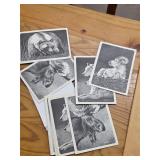 Vintage Alaskan Wildlife Cards w Envelopes 26-3