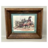 Framed Vintage Print 'Pheasant in the Wilderness'
