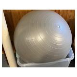 Exercise Ball Yoga Ball