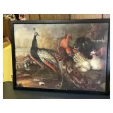 Framed Print 'Peacock and Pheasant' Marmaduke Cr