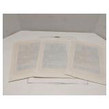 (3) The Eagles 1977 Heat Transfers