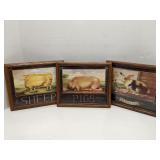 Set of 3 framed art pieces - pigs, sheep & rabbits