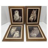 Lot of 4 framed owl prints, signed M. Brice
