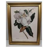 Framed print - The Dybdahl Co Magnolia #3713