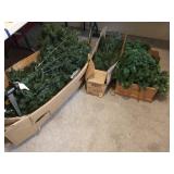 Group of Christmas trees