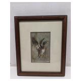 Mallard duck in flight by Robbie Dace framed print