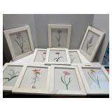Lot of 10 Framed Botanical Flower Prints