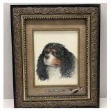 Pencil/Pastel of a Cavalier King Charles Spaniel