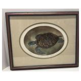 Vintage Sea Turtle  Painting by Dianne Krumel