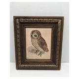 'The Little Owl' by Albrecht Dürer framed print
