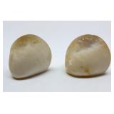 Rare Mother of Pearl Salt & Pepper Shakers