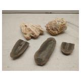 Group of stone fossils
