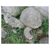 Concrete Turtle
