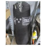 Everlast Punching Bag