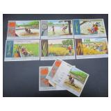 Rice Cultivation - Liebig