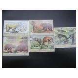 Bears - Liebig