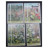 Vines / Climbing Plants - Liebig