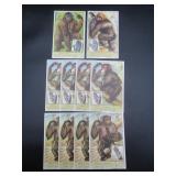 Primates - Liebig