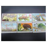 Unusual Insects - Liebig