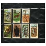 Animals of the World - Glengettie Tea