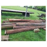 (12) Telephone Poles (All)