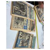 UK wild cats news papers