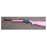 Daisy Powerline 35 Pellet Rifle with BBs