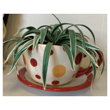 EXTRA LARGE CERAMIC POLKA-DOT TEACUP PLANTER WITH SILK 15' WIDE X 7' TALL