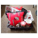 University of Georgia Bulldogs Sports Memorabilia Collection