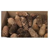 Box of Coniferous Natural, Med to Large Dry Pine Cones With Hanger Loops Attached