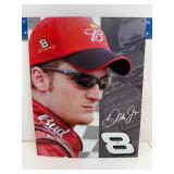 Dale Jr metal sign