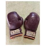 vintage everlasting boxing gloves