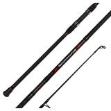Fiblink Surf Spinning Fishing Rod 2-Piece Graphite