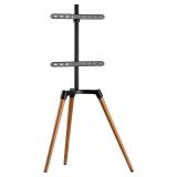 ProMounts Modern TV Floor Stand, Universal TV...