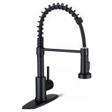 Kitchen Faucets with Pull Down Sprayer...
