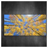 Canvas Wall Art Aspen trees during fall season...