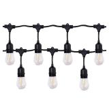 96-ft Plug-in Black Indoor/Outdoor String Light