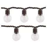 Indoor/Outdoor String Light/100 LED Globe Bulbs