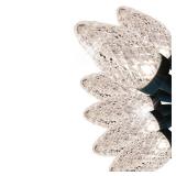 50Count 24.5ft Sparkling LED Plug-In String Lights