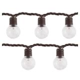 48-ft String Light/100 White-Light LED Globe Bulbs