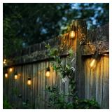 24-ft Outdoor String Light /12 LED Edison Bulbs