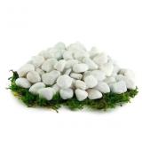 20 lb White Pebbles (0.5 - 3-in)