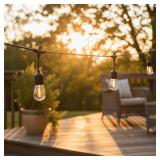 27-ft String Light/10 White-Light LED Edison Bulbs